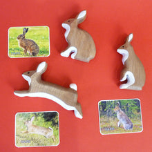 Load image into Gallery viewer, Hares Set
